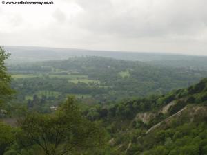 View from Brockham Hills