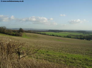 The North Downs towards Wye