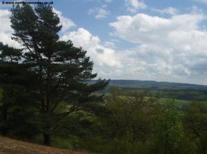 View from St Martha's Hill