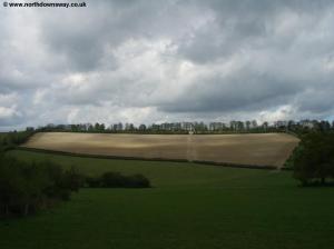 Fields near Chantry Wood