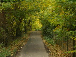 Pilgrims Way, near Lenham
