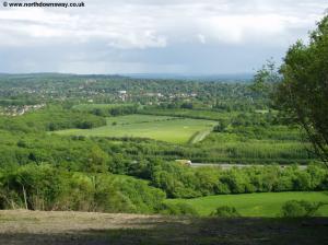 Oxted from Tandridge Hill