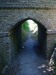 One of the tunnels on the path through the cemetery