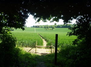 The path ahead from Coldred Court Farm