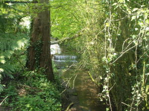 The small stream near Stowting