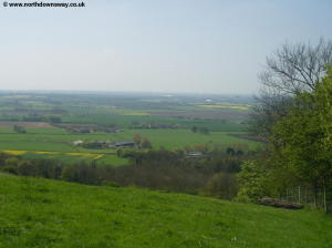 View from near Wye Crown