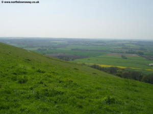 View from near Wye Crown